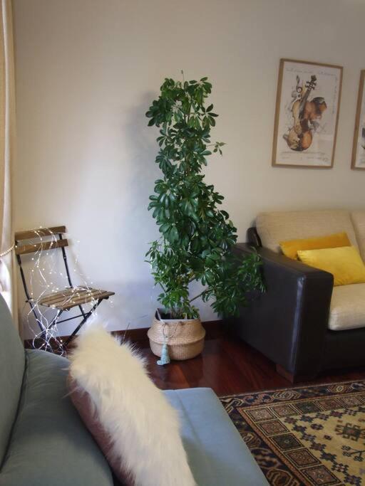 Apartamento Elduayen Luxury Centro Vigo Exterior foto